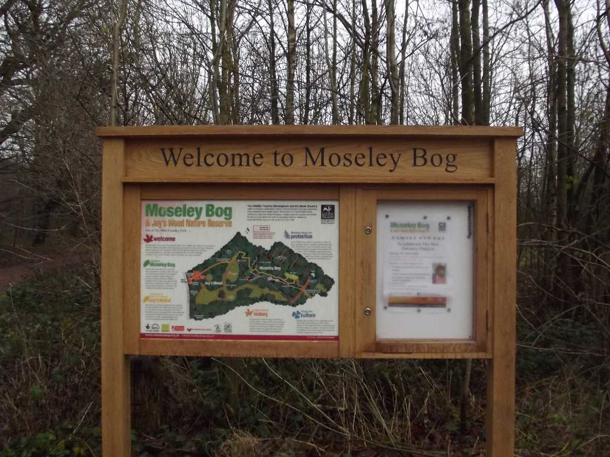 Welcome to Moseley Bog